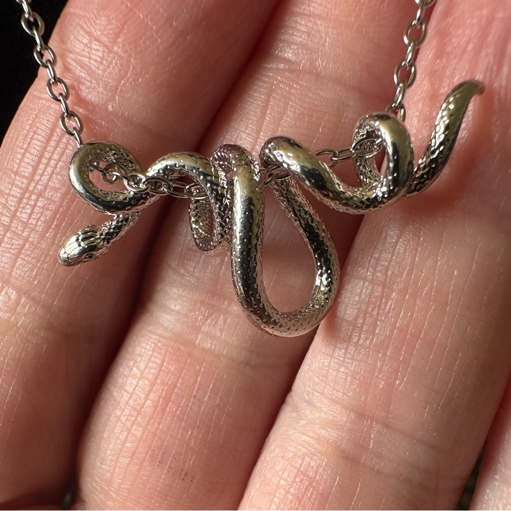 Silver Serpent Necklace - Picture 2 of 4